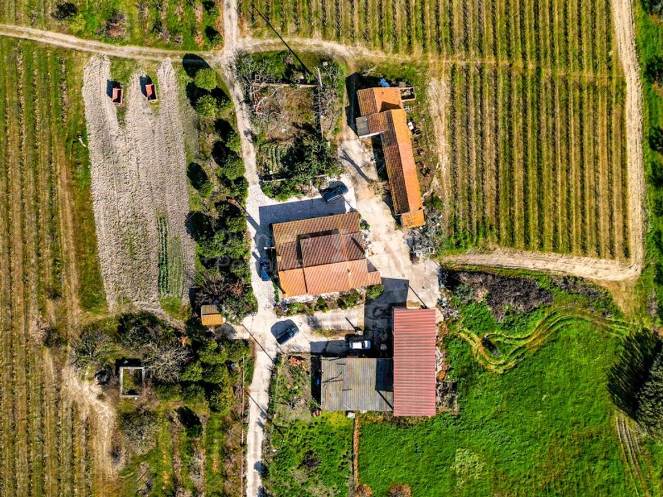 Farm i Palmela, Setubal - foto 2