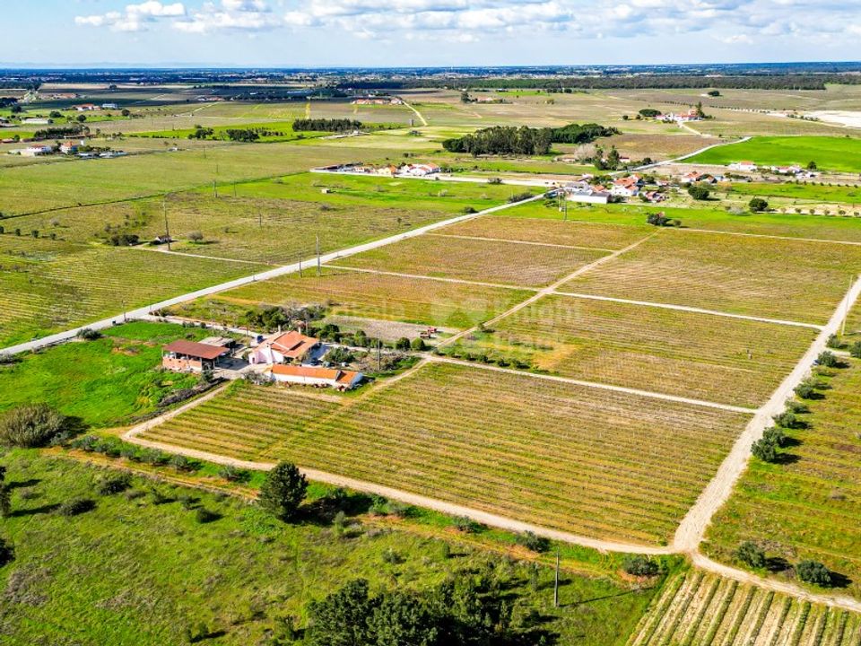 Farm i Palmela, Setubal - foto 4