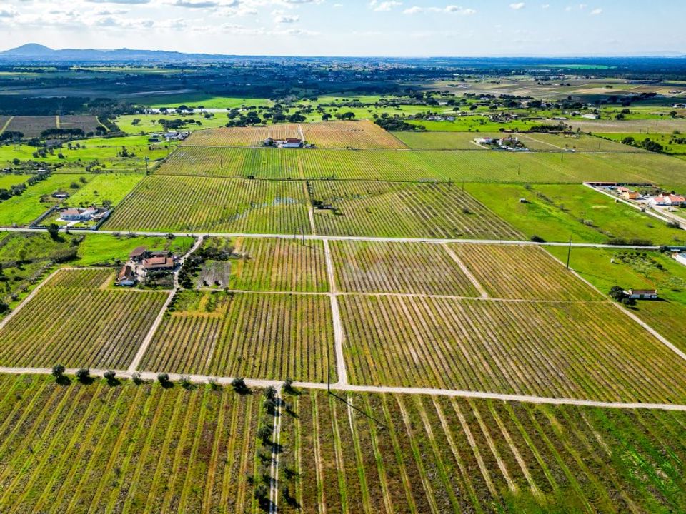 Farm i Palmela, Setubal - foto 5