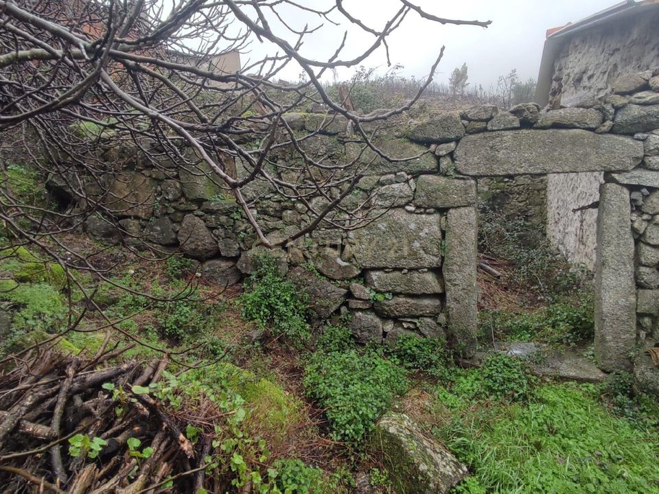 Villa i Castelo Branco, Castelo Branco - foto 2