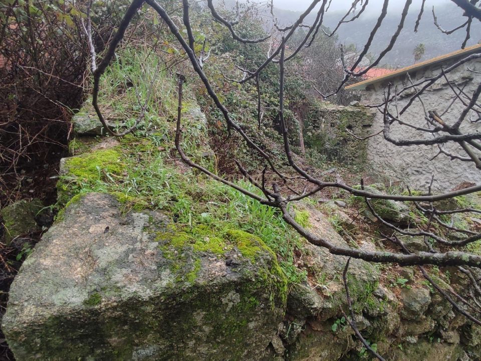 Villa i Castelo Branco, Castelo Branco - foto 4