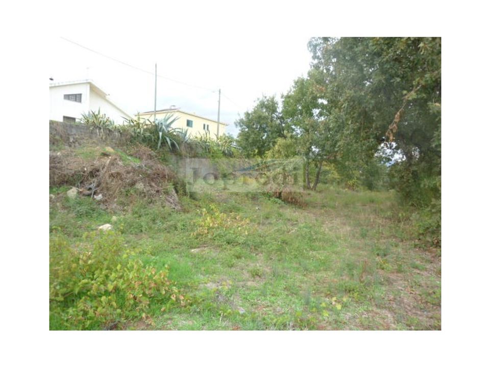Helårsgrund i Fundao, Castelo Branco - foto 1