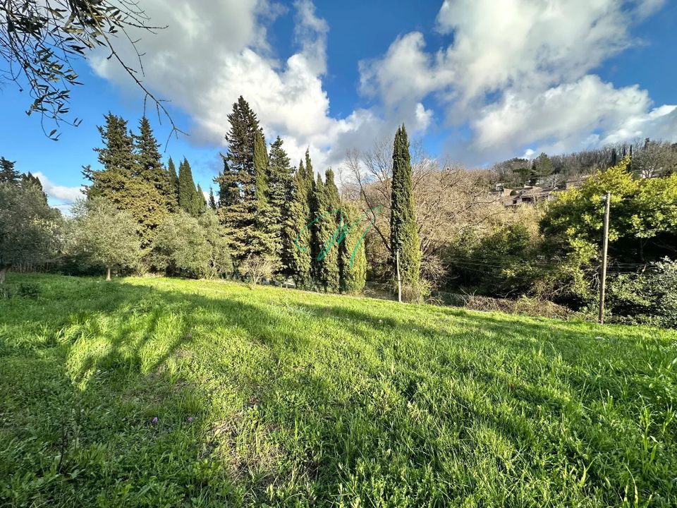 Helårsgrund i Valbonne, Alpes-Maritimes - foto 4