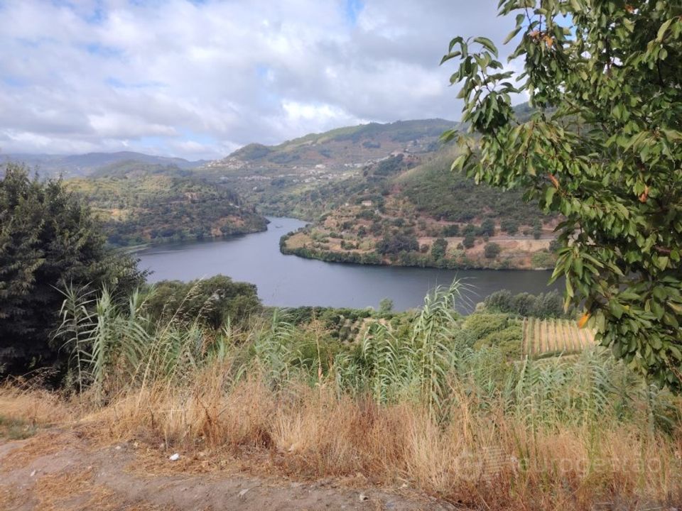 Farm i Barro, Aveiro - foto 1