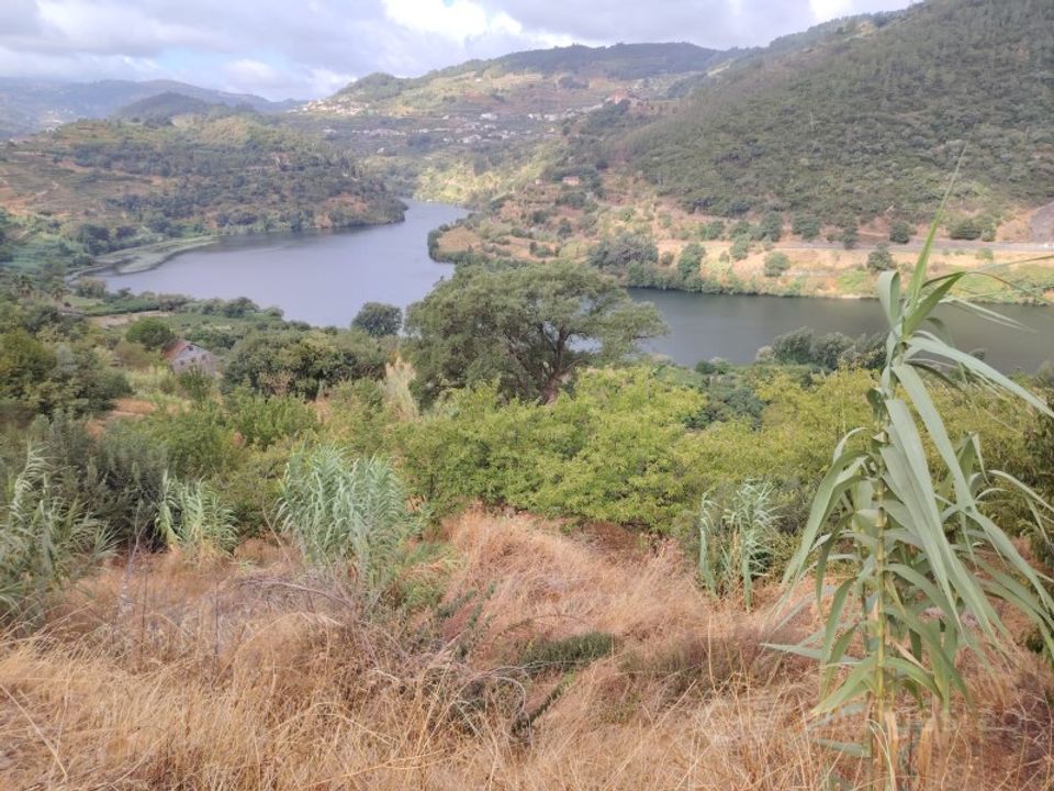 Farm i Barro, Aveiro - foto 3