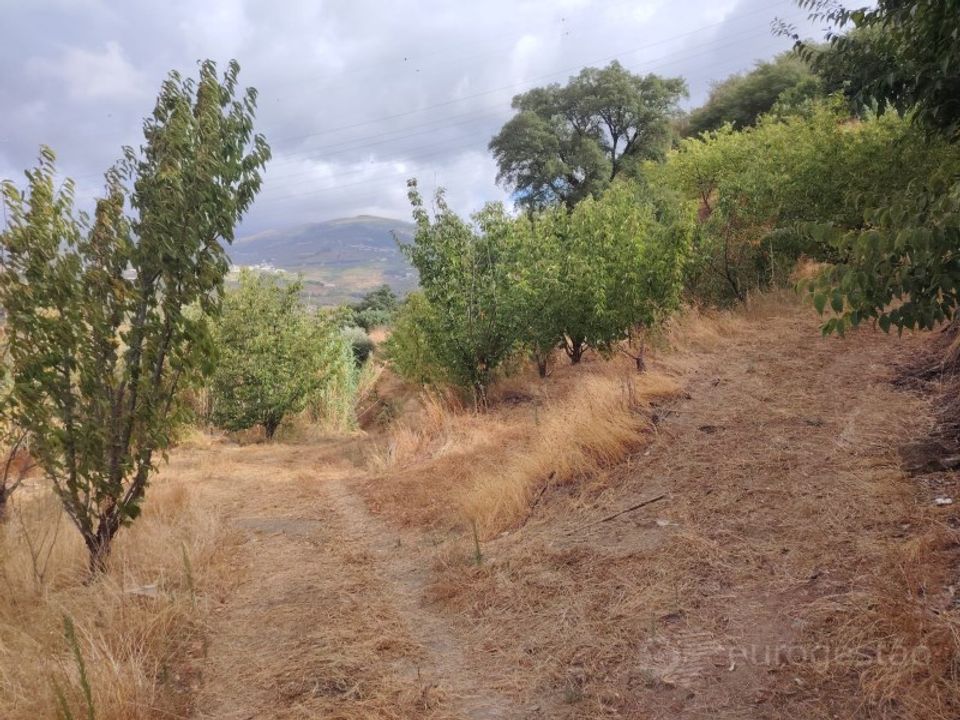 Farm i Barro, Aveiro - foto 5