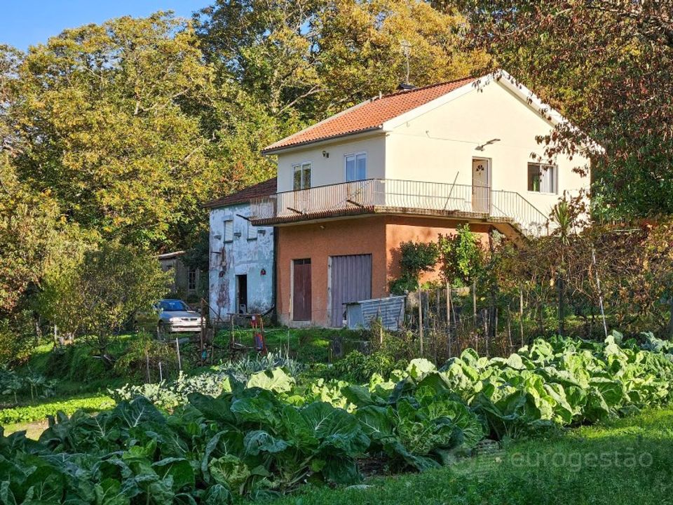Farm i Lamego, Viseu - foto 1
