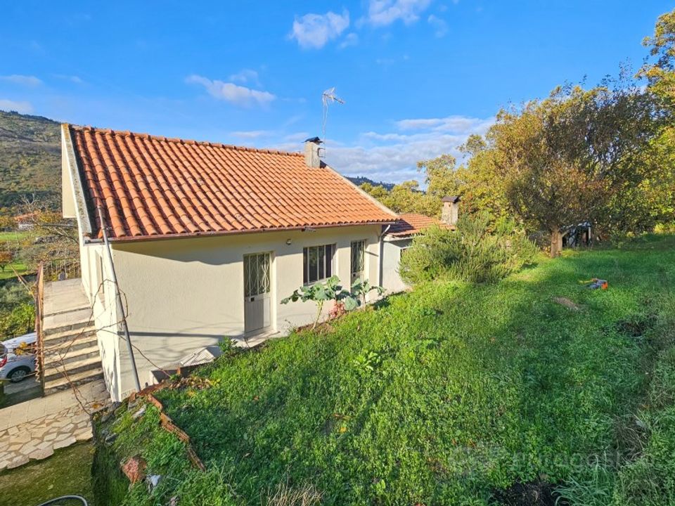 Farm i Lamego, Viseu - foto 2