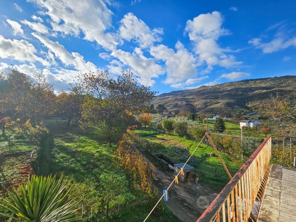 Farm i Lamego, Viseu - foto 4