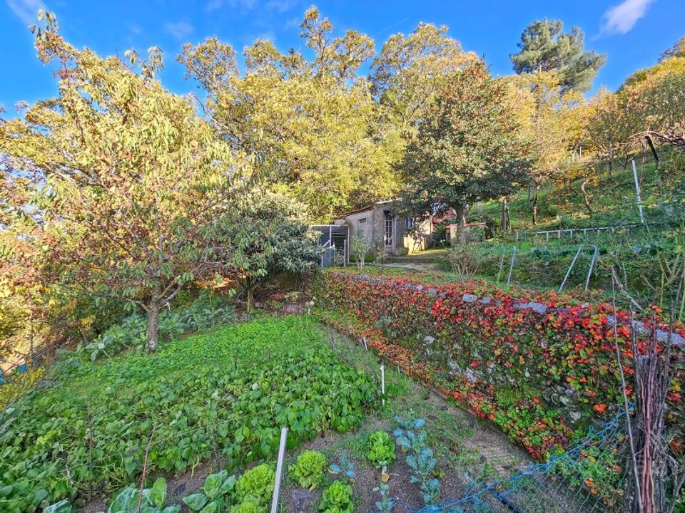 Farm i Lamego, Viseu - foto 5