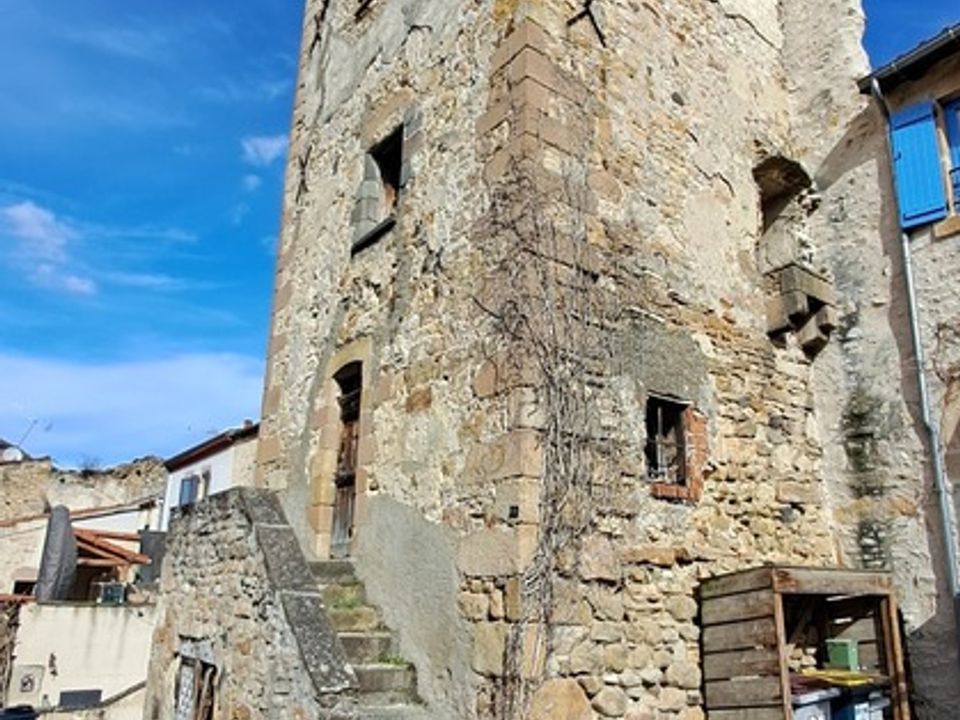 Herregård i Sauvagnat-Sainte-Marthe, Puy-de-Dome - bilde 2