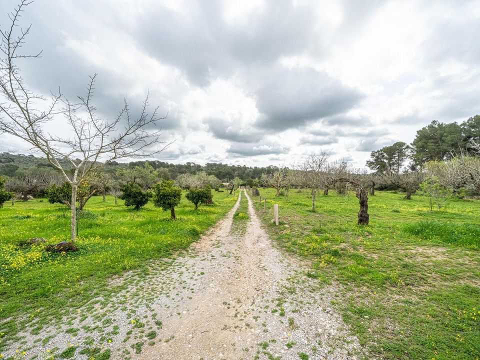 Masia a Llucmajor, Mallorca - foto 2