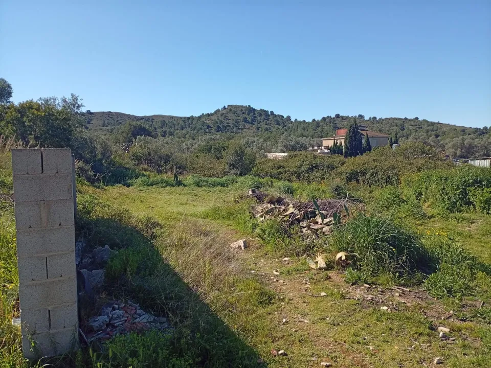 Helårsgrund i Riba-Roja De Turia, Valencia - foto 3