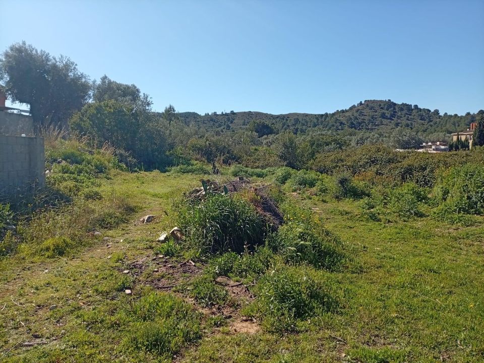 Helårsgrund i Riba-Roja De Turia, Valencia - foto 4