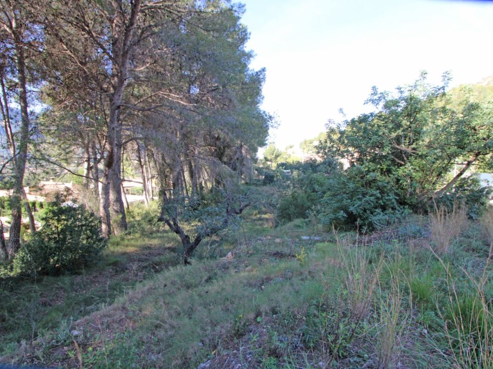 Helårsgrund i Alcalali, Alicante - foto 1