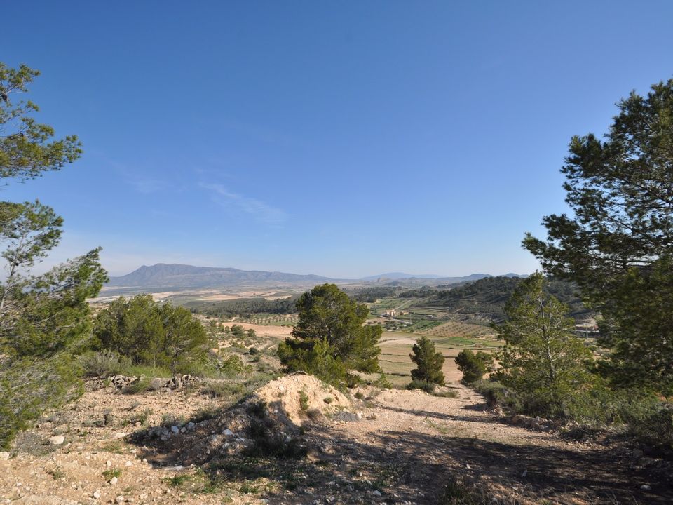 Tomt i La Zarza, Murcia - bilde 1