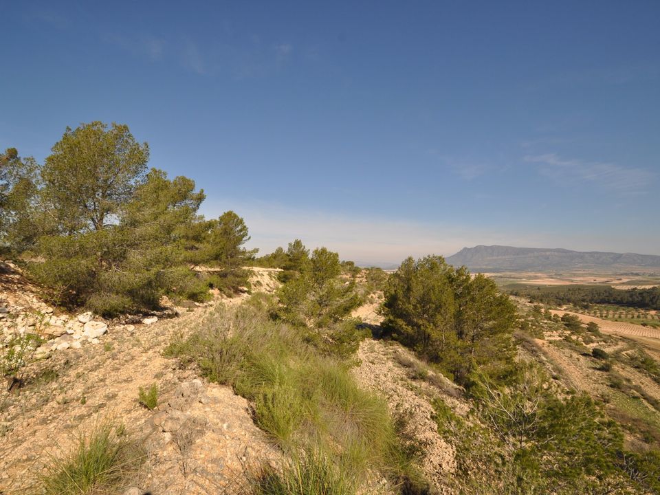 Tomt i La Zarza, Murcia - bilde 4