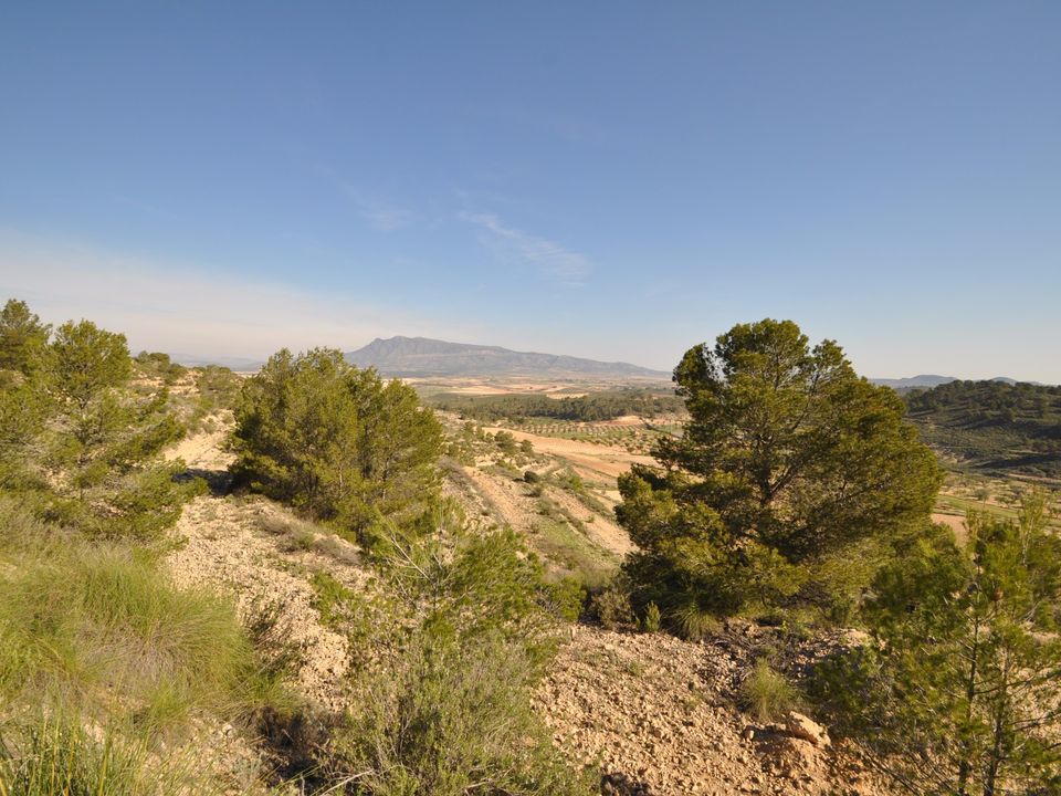 Tomt i La Zarza, Murcia - bilde 5