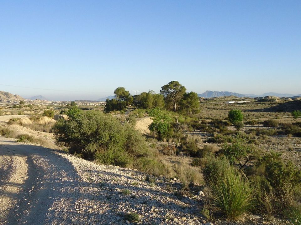 Helårsgrund i Abanilla, Murcia - foto 1