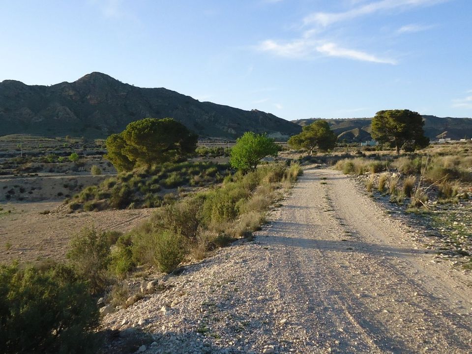 Helårsgrund i Abanilla, Murcia - foto 2