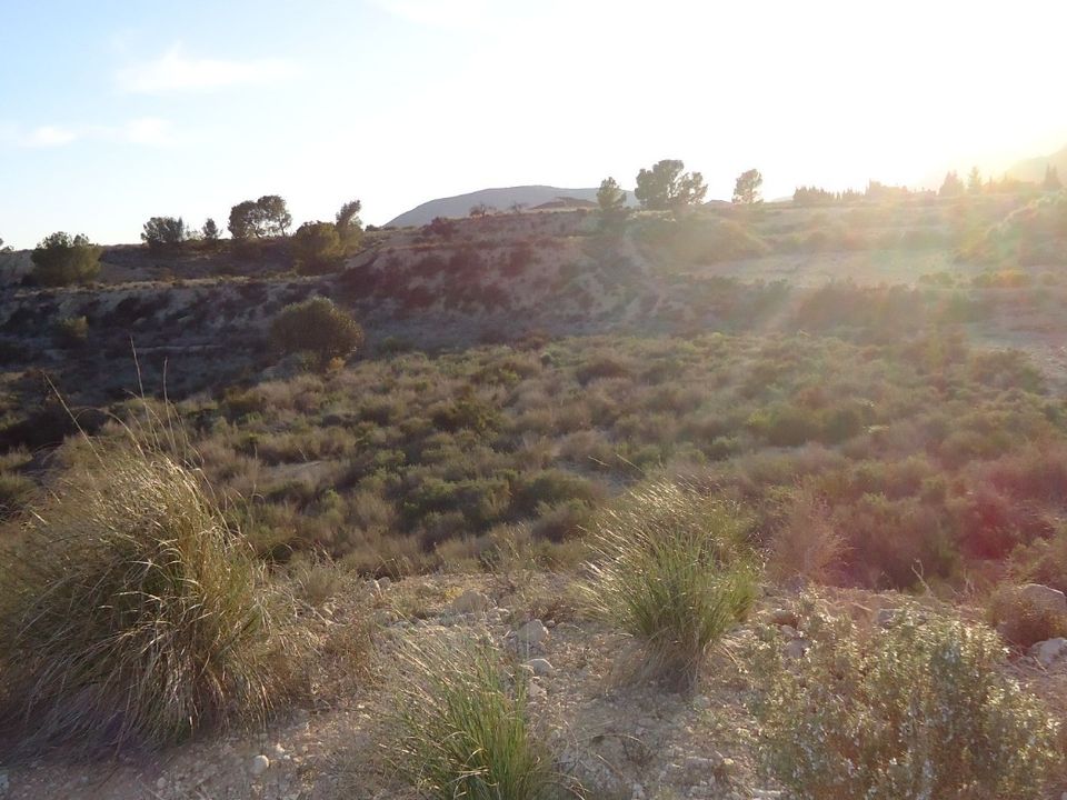 Helårsgrund i Abanilla, Murcia - foto 3