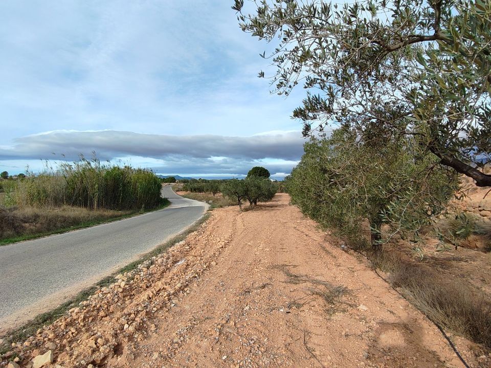 Helårsgrund i Monovar, Alicante - foto 2