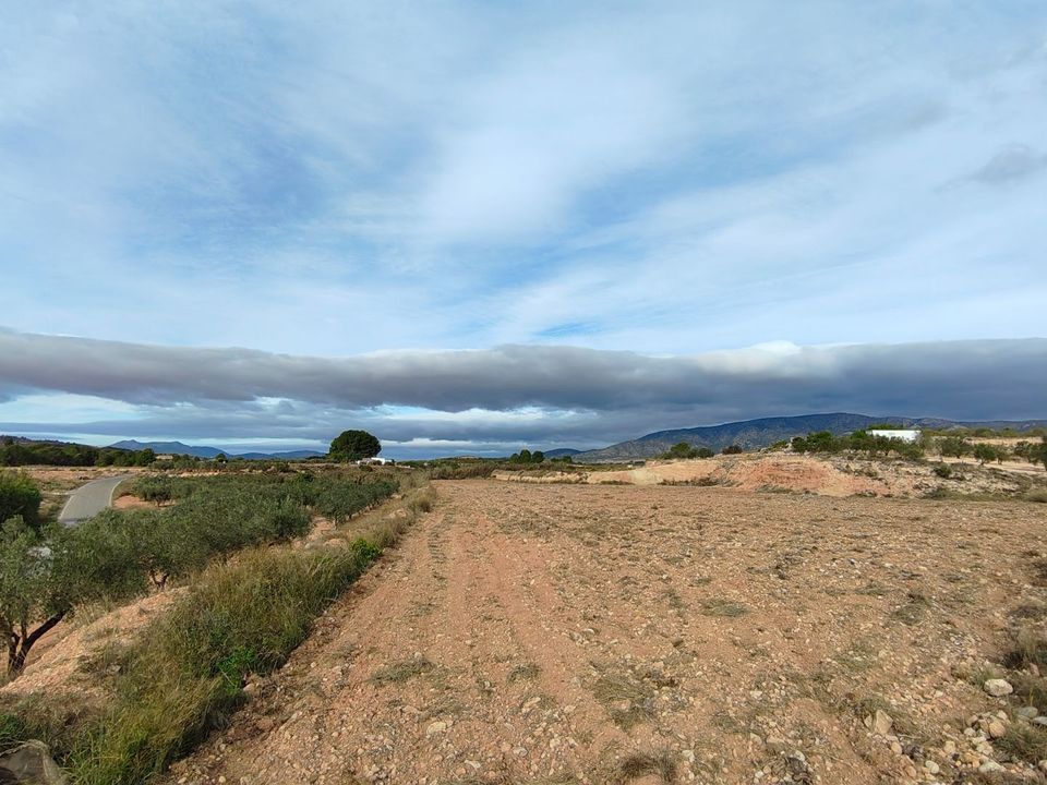 Helårsgrund i Monovar, Alicante - foto 4