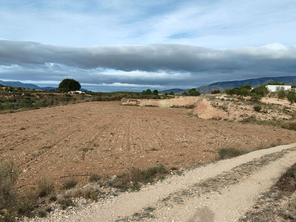 Helårsgrund i Monovar, Alicante - foto 5