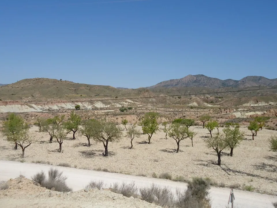 Helårsgrund i Abanilla, Murcia - foto 1