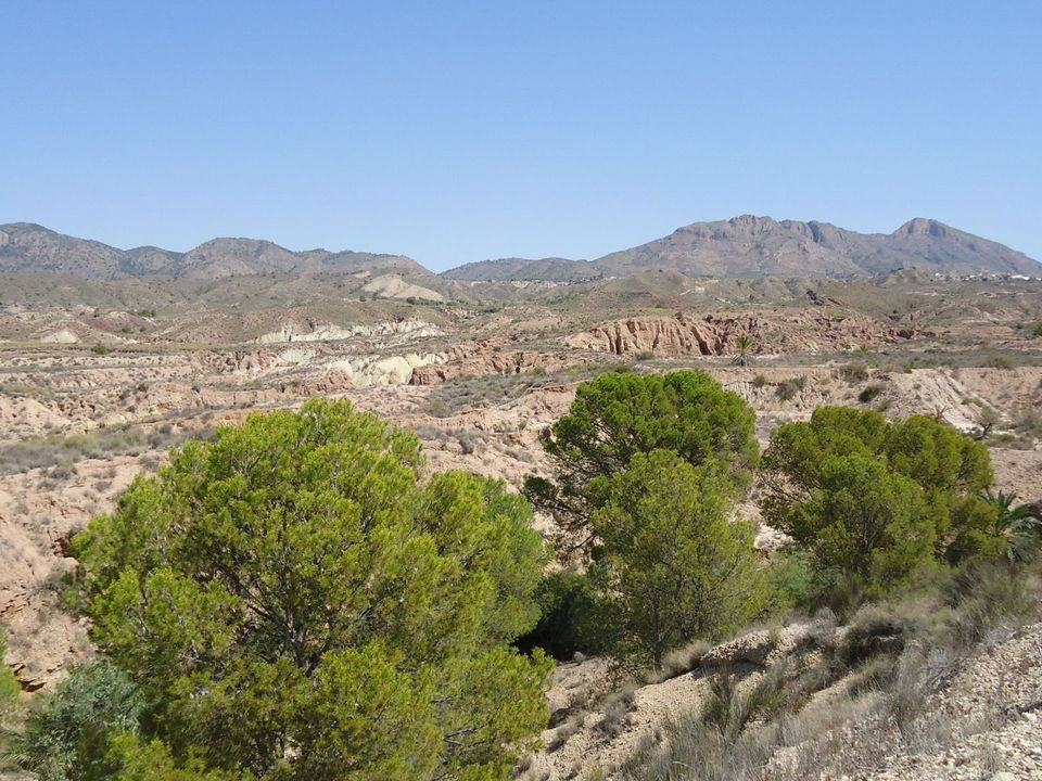 Helårsgrund i Abanilla, Murcia - foto 4