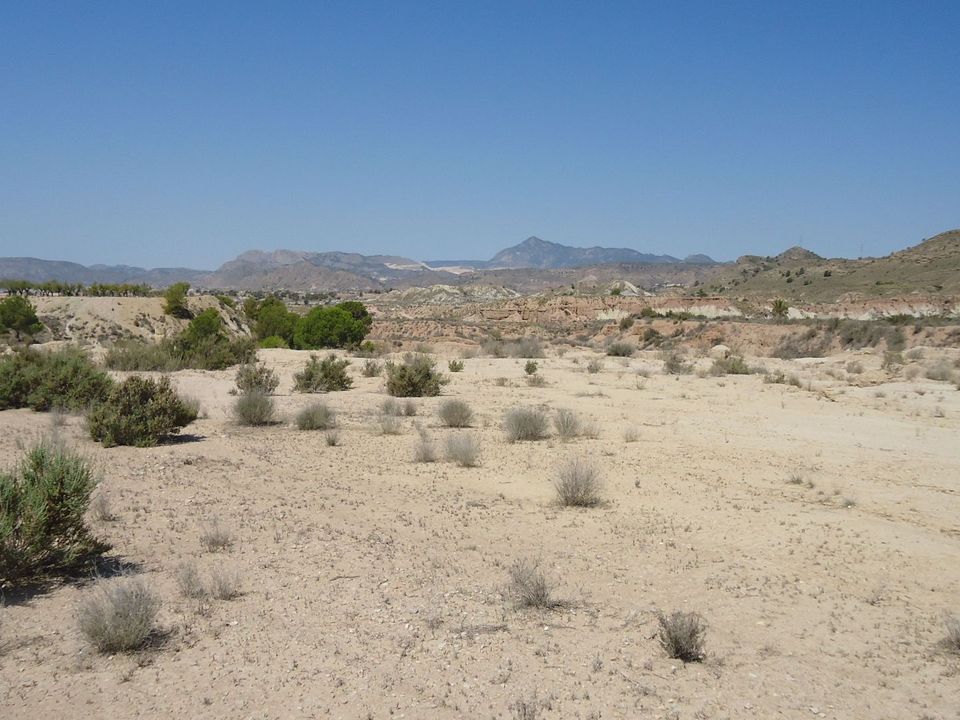 Helårsgrund i Abanilla, Murcia - foto 1