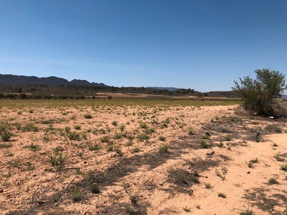 Helårsgrund i Yecla, Murcia - foto 2