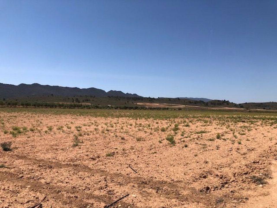 Helårsgrund i Yecla, Murcia - foto 4