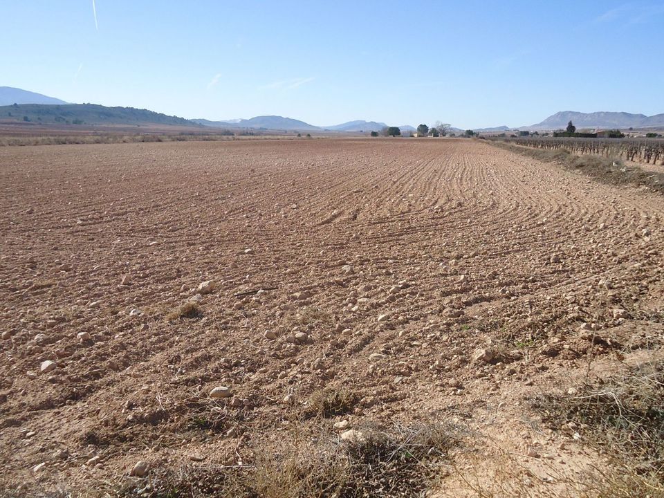 Terreno en Yecla, Murcia - foto 2