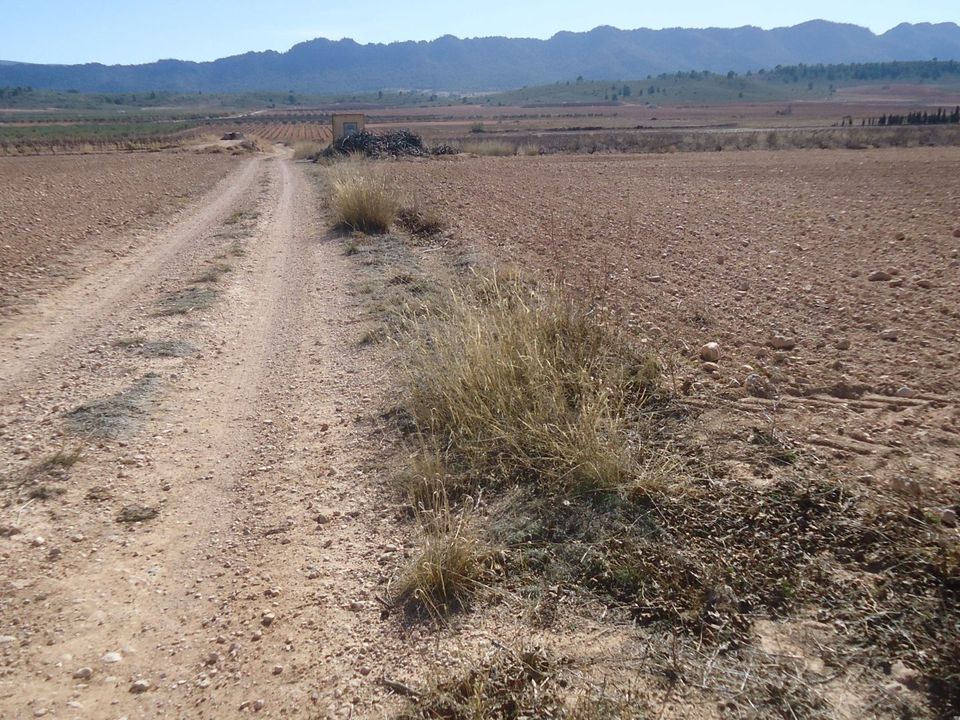 Terreno en Yecla, Murcia - foto 3
