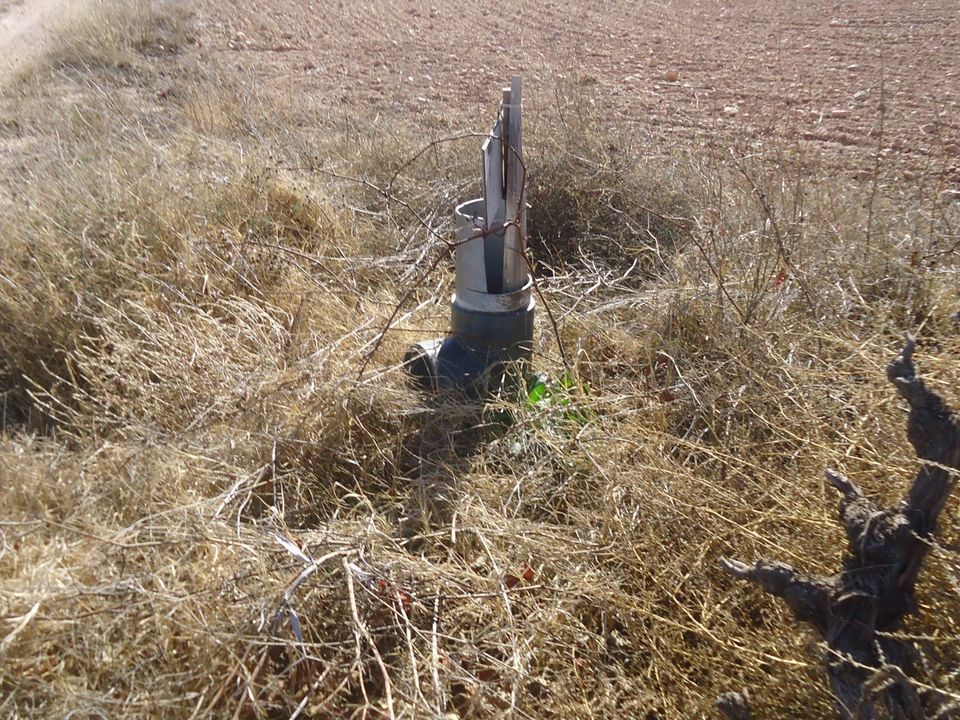 Terreno en Yecla, Murcia - foto 4