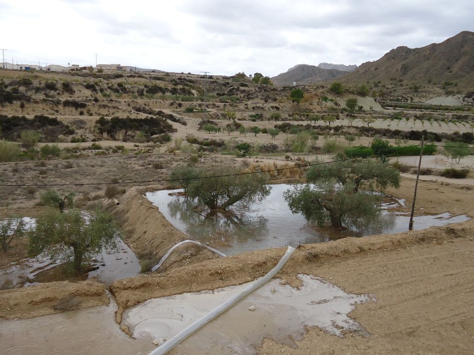 Helårsgrund i Abanilla, Murcia - foto 2
