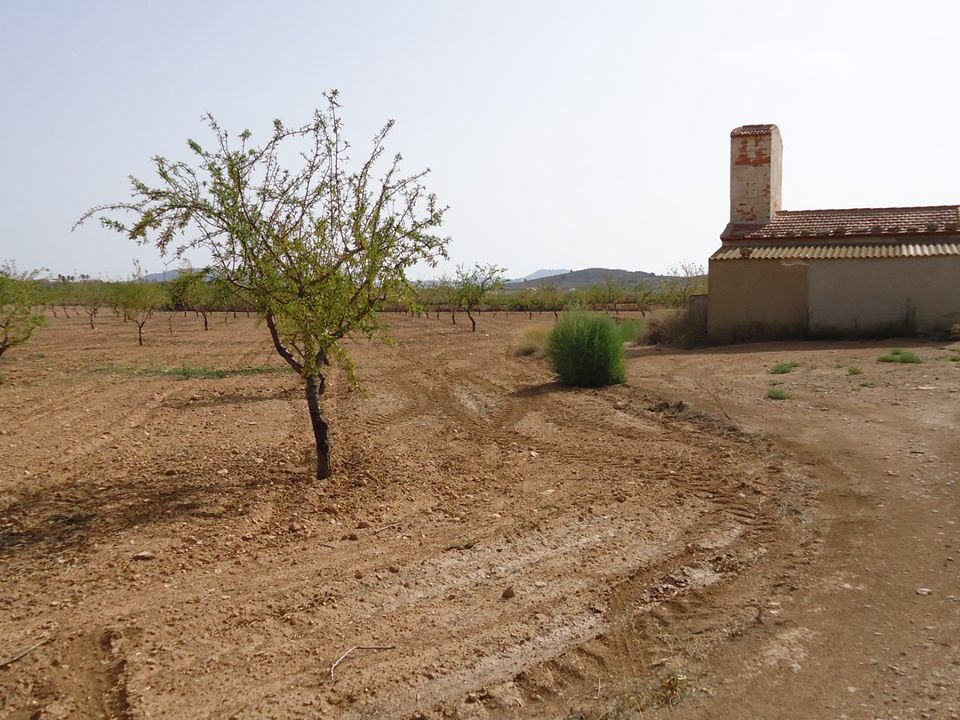 Tomt i Canada Del Trigo, Alicante - bilde 2