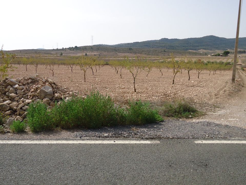 Tomt i Canada Del Trigo, Alicante - bilde 3