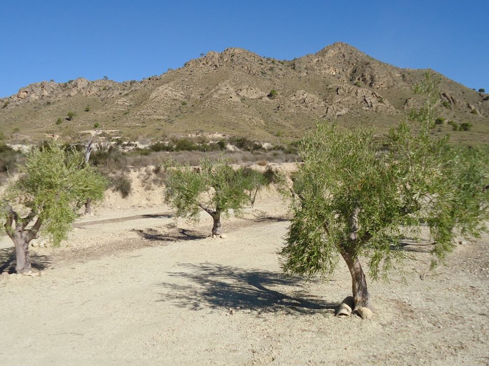 Helårsgrund i Abanilla, Murcia - foto 1
