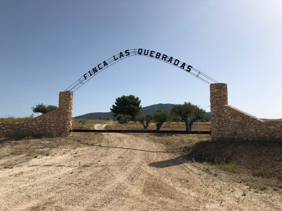 Helårsgrund i Yecla, Murcia - foto 1