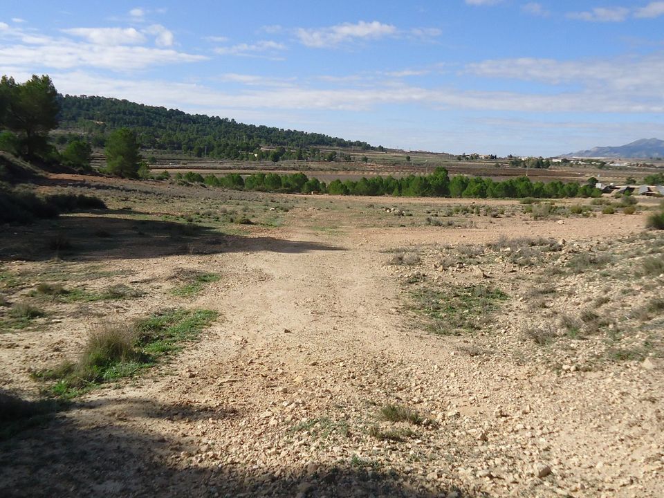 Grond in Monovar, Alicante - foto 3