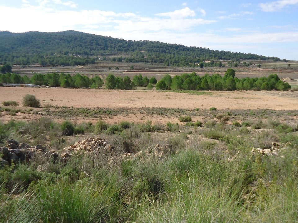 Grond in Monovar, Alicante - foto 4