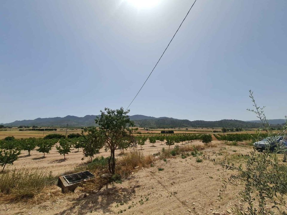 Helårsgrund i Yecla, Murcia - foto 4