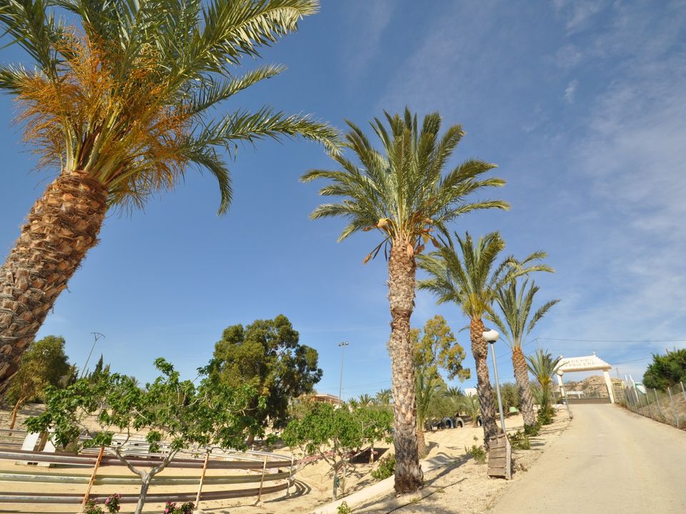 Erhvervsejendom i Abanilla, Murcia - foto 1