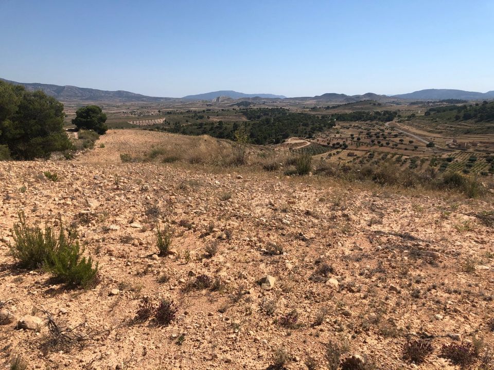 Helårsgrund i La Zarza, Murcia - foto 1
