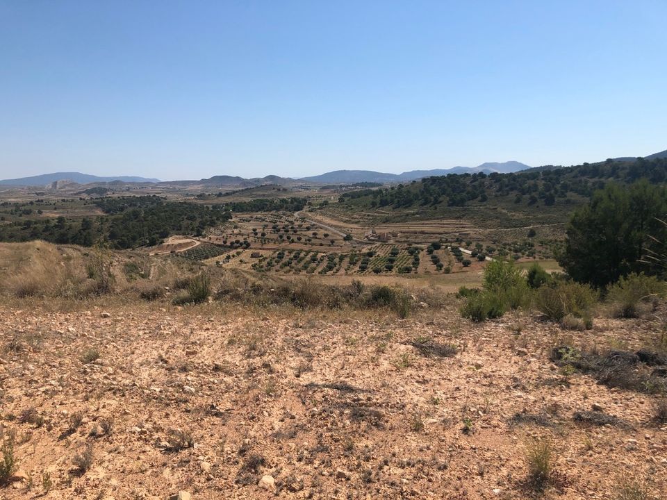 Helårsgrund i La Zarza, Murcia - foto 2
