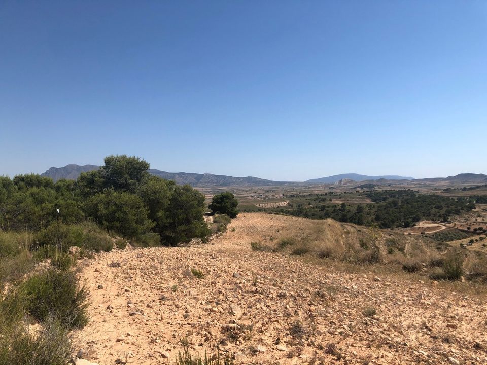 Helårsgrund i La Zarza, Murcia - foto 3