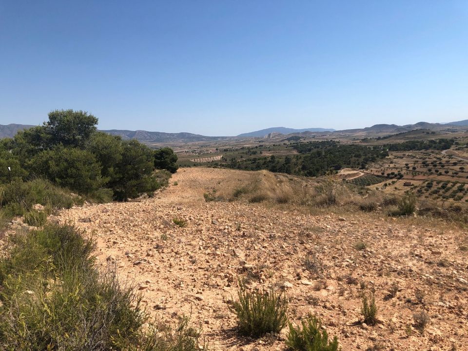 Helårsgrund i La Zarza, Murcia - foto 4