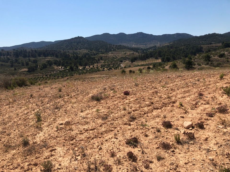 Helårsgrund i La Zarza, Murcia - foto 5